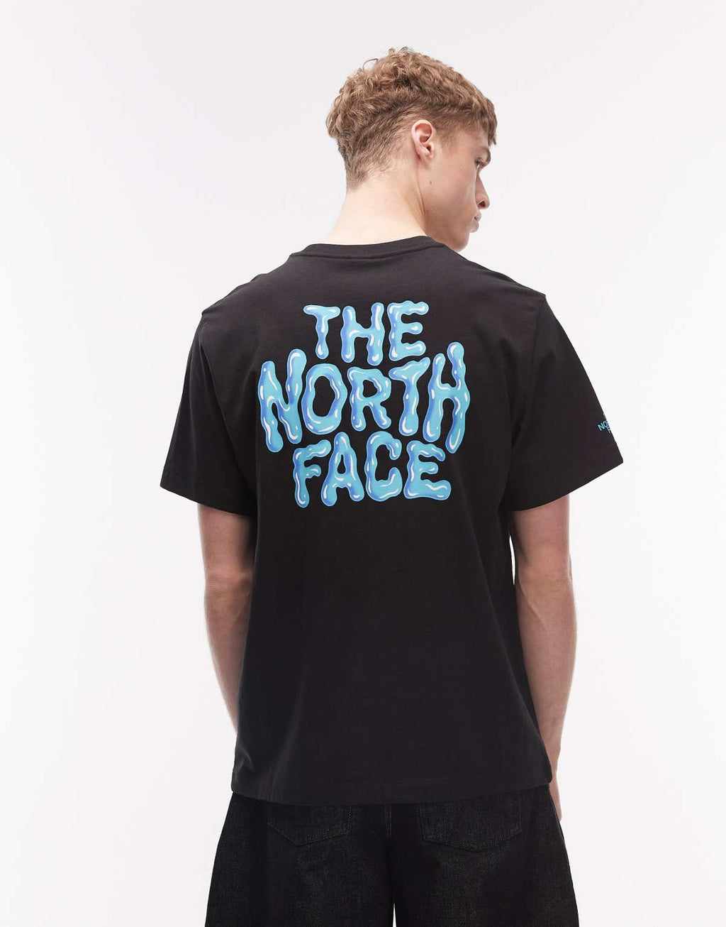 The North Face Drip Logo relaxed backprint t-shirt in black, front view