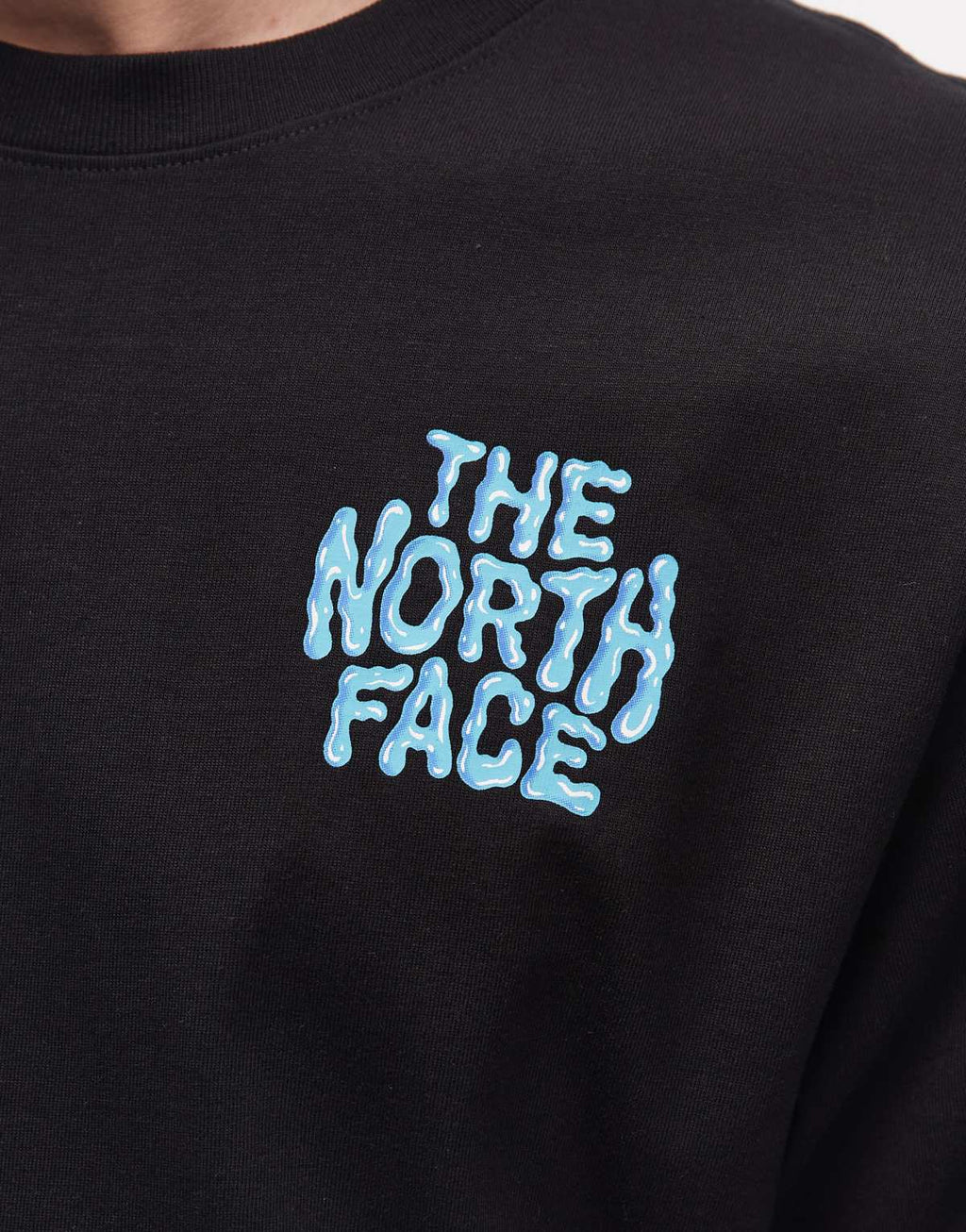 The North Face Drip Logo relaxed backprint t-shirt in black, alternate view