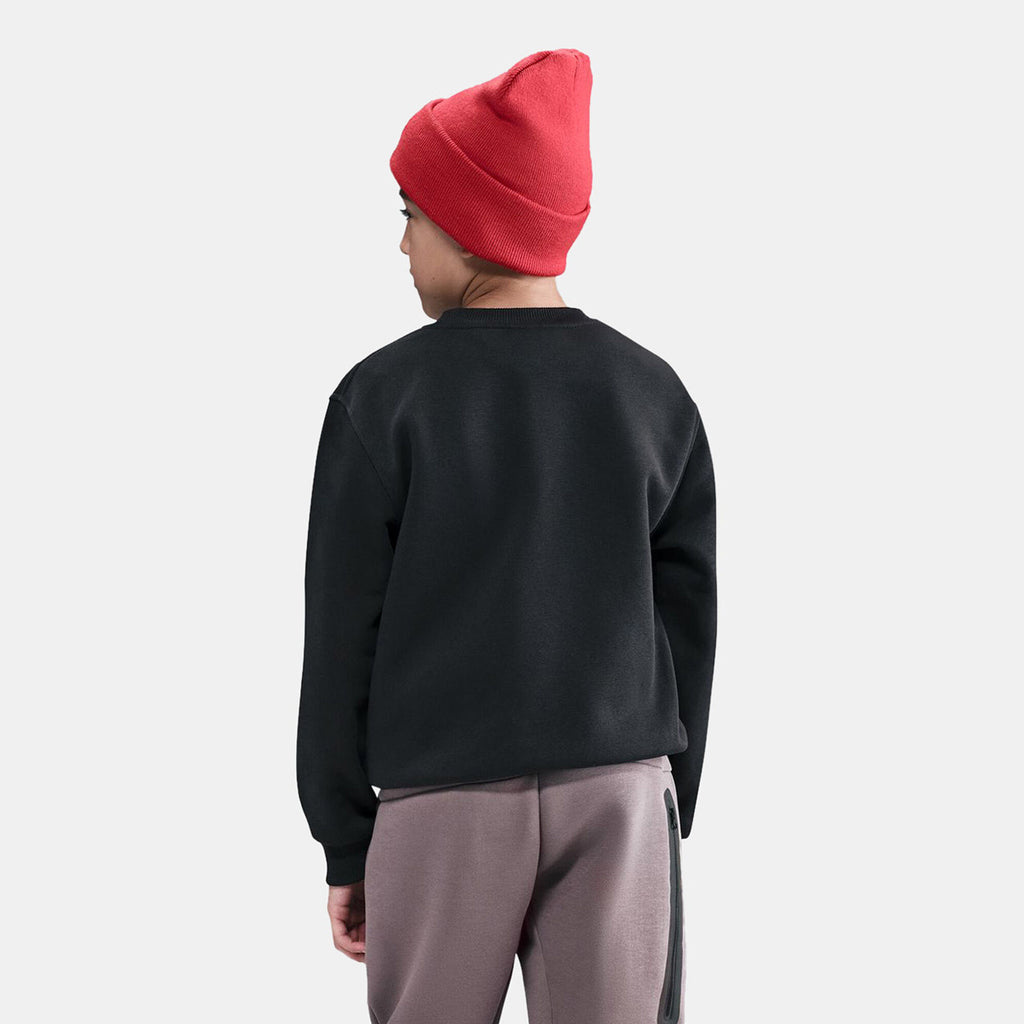 Nike Kids' Sportswear Club Fleece Sweatshirt in grey, back view